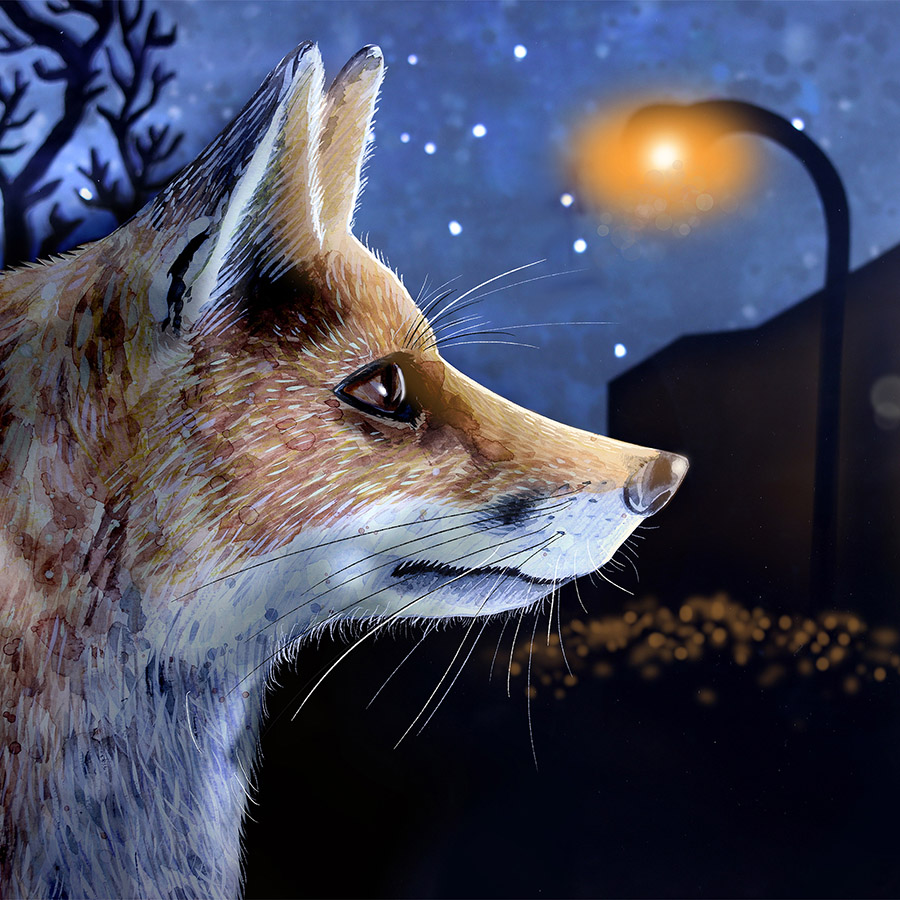 Fox Book: Caroline Rudge